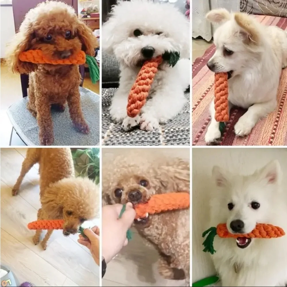 3 Pc Carrot Design Pet Chew Durable Dog Braided Knot Rope Toy